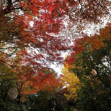 Suminagi Shinpontocho Lejlighedshotel Kyoto Eksteriør billede